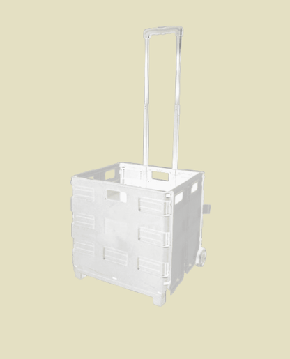 Carrito plegable multiusos + Bolso de tocuyo con fuelle 📦